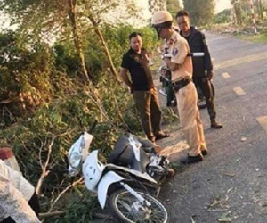 Bị cây bạch đàn đè trúng, một nữ sinh Hải Dương thiệt mạng