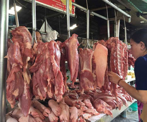 Trung Quốc khủng hoảng thịt heo, Việt Nam có bị ảnh hưởng?