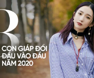 3 con giáp đã đến lúc khổ tận cam lai, đầu năm 2020 có sao may mắn chiếu mệnh, tài vận cải thiện sự nghiệp khởi sắc