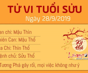 Tử vi thứ 7 ngày 28/9/2019 của 12 con giáp: Tý đầu tư suôn sẻ, Dần gặp rắc rối