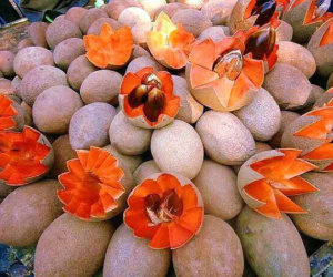 Giống hồng xiêm ruột đỏ 'khổng lồ' lại gây sốt cộng đồng mạng