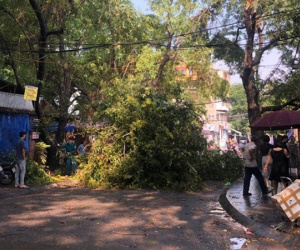 Hà Nội: Trời đổ mưa giông bất ngờ khiến cây cối ngã nằm la liệt trên đường sau buổi sáng nắng gay gắt