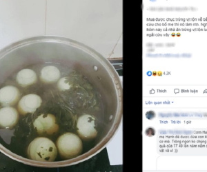 Đăng đàn chê em gái vụng, làm trứng vịt lộn hầm ngải cứu sai cách, nhưng dân mạng lại chỉ ra điều 'nghe rất sai nhưng lại quá đúng' này