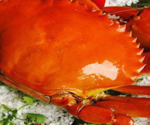 Cua biển xuất sang Trung Quốc giá chỉ còn 46.000 đồng/kg