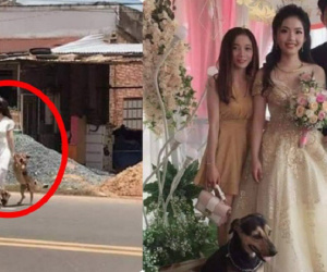 Cô dâu vội vã chạy sang đường để lôi cún cưng về nhà chụp cùng trong đám cưới