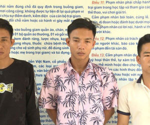 Ảnh minh họa