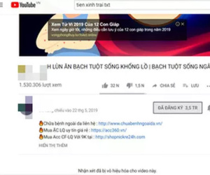 Chủ một kênh Youtube bị truy thu thuế 1,5 tỉ đồng từ thu nhập 19 tỉ đồng