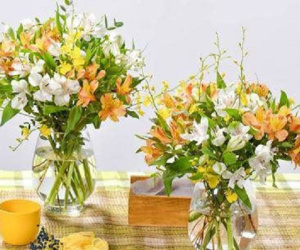 Từ giờ đến cuối năm phòng khách chỉ cần bày 5 loại hoa này, tiền vào như nước, muốn ngừng không được