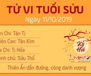 Tử vi thứ 6 ngày 11/10/2019 của 12 con giáp: Sửu vượng công danh, Ngọ vướng họa thị phi