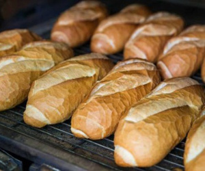 Chuyên gia rùng mình với loại bánh mì nóng giòn được tẩm 'hóa chất lạ' để nở to, chín nhanh hơn: Ăn nhiều cẩn thận biến đổi gen, mắc ung thư