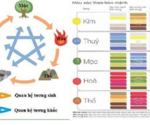 Người mệnh Mộc hợp màu gì giúp làm ăn hanh thông, sự nghiệp thăng tiến?