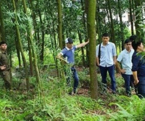 Phát hiện phó chủ tịch xã tử vong trên một chiếc chiếu ở quả đồi sau nhà