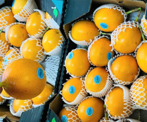 Sính ngoại, nhà giàu đổ xô mua chanh leo vàng giá 800.000 đồng/kg