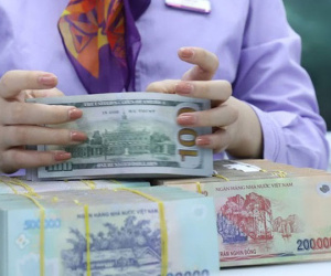 Tỷ giá đi ngang, lãi suất VND liên ngân hàng giảm mạnh