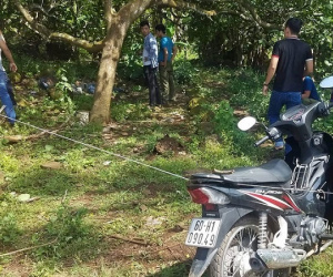 Nhân viên bất động sản chết bất thường trong vườn điều ở Đồng Nai