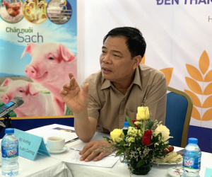 Không được xuất khẩu lợn sang Trung Quốc