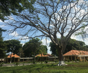 Tiếng Sét Trong Mưa lại lộ tình tiết: Lũ chưa chết mà biến hình thành 'ông Bụt'?