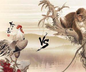 Đây là cặp con giáp cùng mệnh, chỉ cần sánh bước thì sẽ giúp tài lộc cuồn cuộn chảy về, gia đình hưng thịnh và trường thọ dài lâu