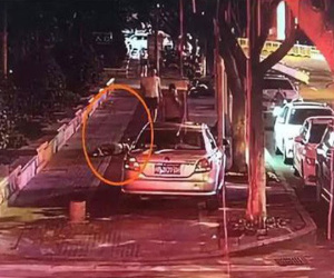 Cô gái trẻ đẹp say xỉn ngồi bên đường bị kẻ lạ bế lên xe đưa về nhà cưỡng dâm