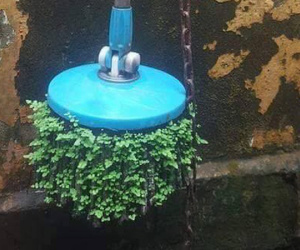 Ảnh bìa bài viết 649462