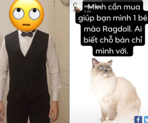 Cô gái trong chuyện hỏi mua mèo nhưng bị thanh niên vặn vẹo lên tiếng: 'Không biết bạn đó là ai, nổi tiếng cỡ nào'