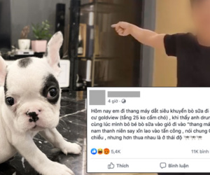 Đôi nam nữ bị người đàn ông ngăn cản dắt chó cưng trong chung cư cao cấp ở Sài Gòn và màn tranh cãi cực 'căng' của dân mạng