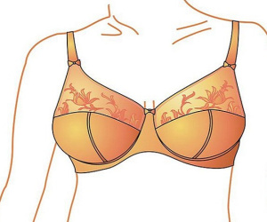 Tại sao đàn ông lại thích ngực của nữ giới?
