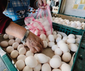 Không rửa tay sau khi sờ vào trứng, người phụ nữ bị hoại tử 90% ruột