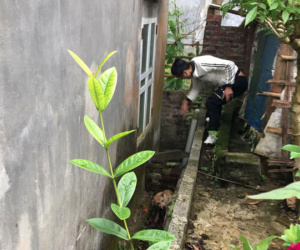 Nam thanh niên lái xe đâm phải chó bị xây xước nhẹ nhưng vẫn nổi máu nhẫn tâm đánh chết chú chó