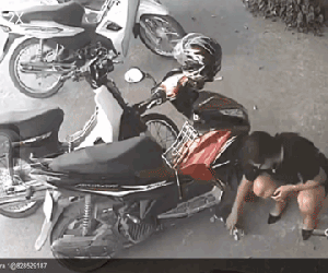 Video: Người phụ nữ nắm cổ con mèo, nhét vào... chỗ hiểm mang đi khiến tất cả ngỡ ngàng