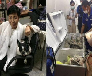 Nghi phạm đổ bê tông thi thể nữ đại gia, giấu vào tủ lạnh bị bắt giữ vì xài tiền như nước