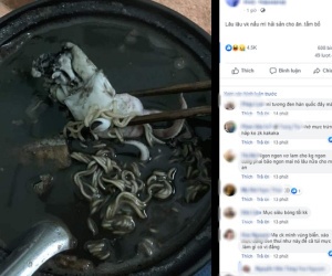 Hiếm khi được vợ vào bếp sớm nấu bữa sáng, chưa kịp hí hửng thì anh chồng đã phải 'méo mặt' khi chứng kiến thành phẩm