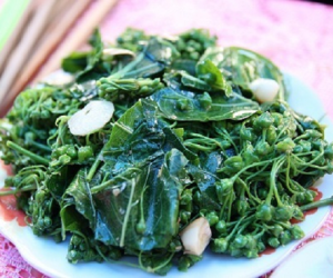 Độc như vậy nhưng tại sao có vùng lại ăn lá ngón xào tỏi?