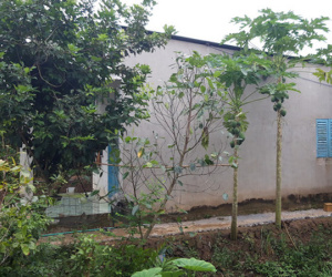 Sốc: Thiếu nữ 13 tuổi tố bị bố đẻ hiếp dâm nhiều lần