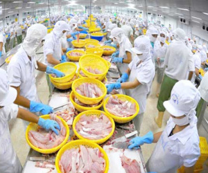 Xuất khẩu thủy sản đạt 7 tỷ USD trong 10 tháng