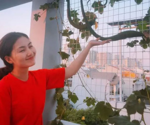 Ngọc Lan và Thanh Bình từng khiến người người ghen tỵ khi cùng nhau thu hoạch rau ở 'nông trại' trên sân thượng mà giờ đã đường ai nấy đi
