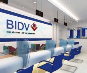 Vừa hoàn tất bán vốn, BIDV vừa dồn dập đấu giá tài sản để xử lý nợ xấu