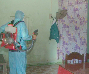 Quảng Trị: Một bệnh nhân tử vong nghi nhiễm sốt xuất huyết