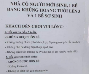 Tờ giấy quy định khi đến nhà của gia đình có 1 trẻ sơ sinh và 1 bé đang khủng hoảng tuổi lên 3 gây bão MXH
