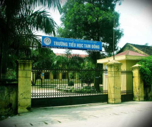 Ảnh minh họa