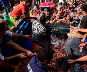 Bangladesh khan hiếm hành, Ấn Độ cấm xuất khẩu