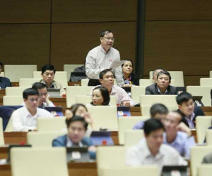 Bàn chuyện chủ quán phở sau một đêm thành giám đốc: Hầu hết hộ kinh doanh nói 'không'