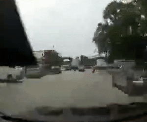 Video: Bị chó đuổi, người đàn ông lao vào ô tô còn kẻ 'gây họa' ung dung bỏ chạy