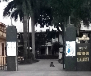Hà Nội: Bí thư và Chủ tịch UBND xã xô xát khi đi dùng bữa trưa