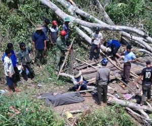 Vào rừng chặt gỗ, nam thanh niên bị cây ngã đè lên người tử vong