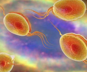 Nguyên nhân gây tiết dịch ở 'cậu nhỏ'