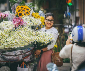 Chùm ảnh: Cúc hoạ mi dịu dàng chở đông về trên phố