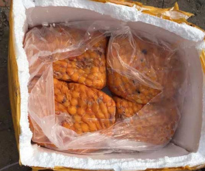 Hà Nội: Chặn đứng 200kg nội tạng chảy nhớt, bốc mùi hôi thối giữa phố đông người