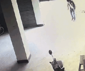 Nhớ nghề, người đàn ông chống nạng đi trộm điện thoại khi chân đang bị thương