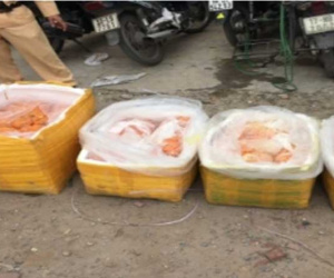 Hà Nội: Thu giữ hơn 100kg trứng gà non không đảm bảo vệ sinh an toàn thực phẩm